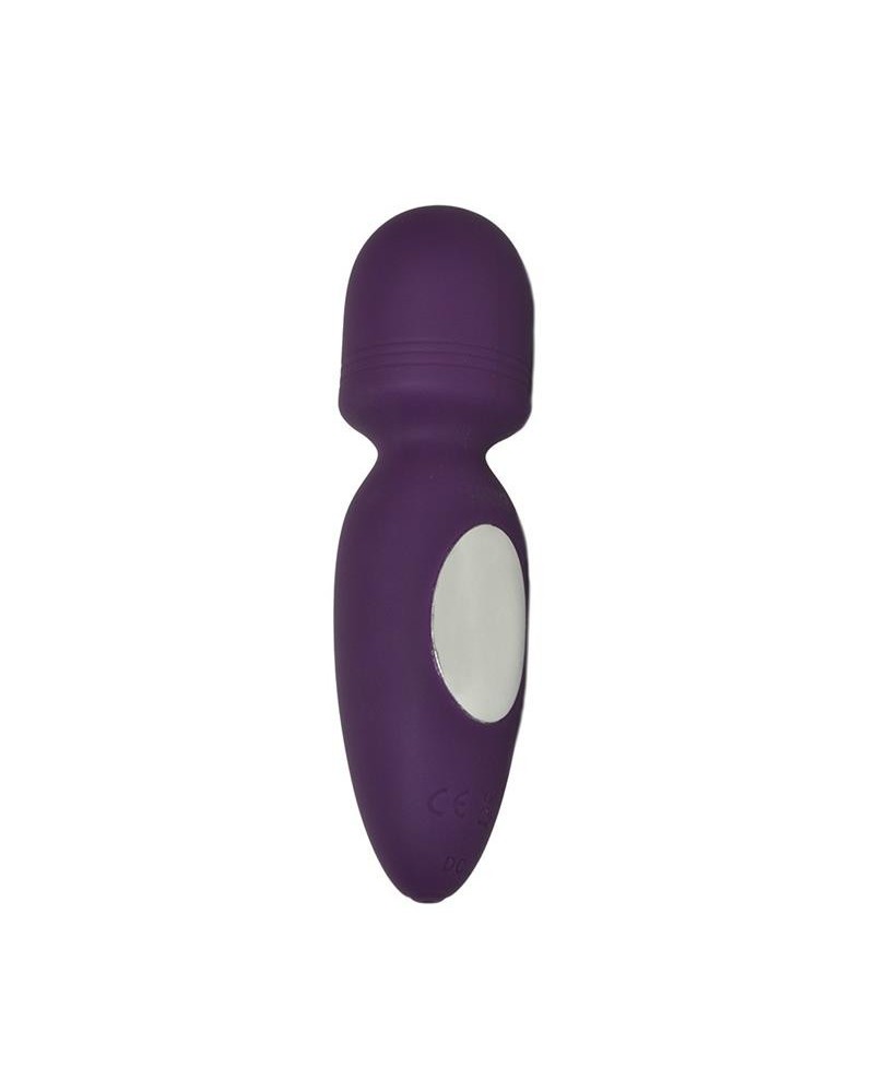 mini wand vibrator valencia violet