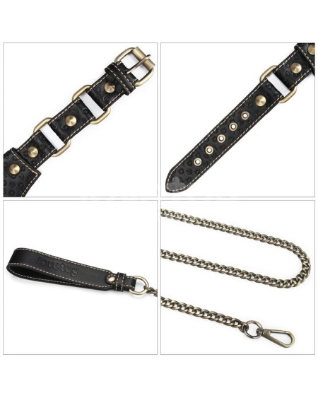 rebellion reign collar with chain