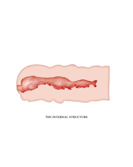 isabel vagina masturbator fresh surface