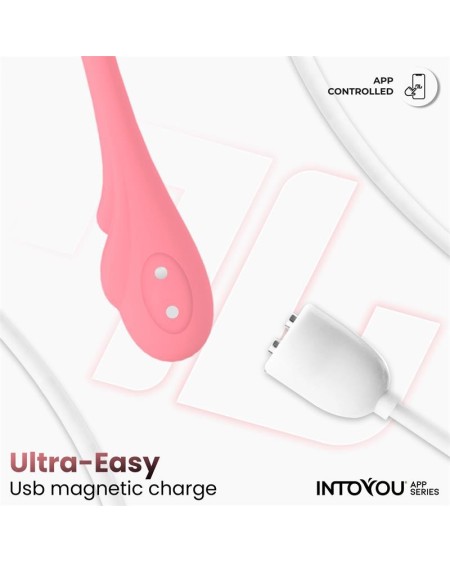 vibrant egg with waving and app usb