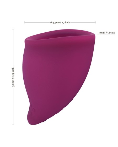 fun cup mentrual cup size b grape