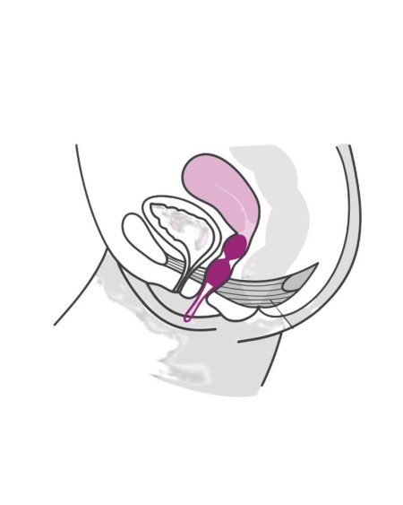 smartballs duo kegel balls grayblack