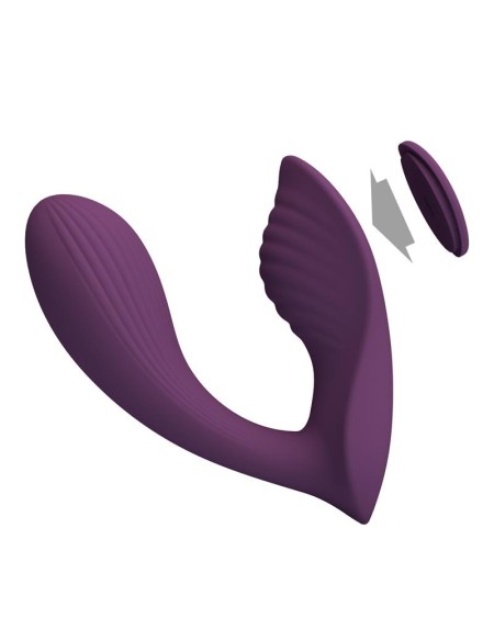 franz vibe with panty stimulator and app