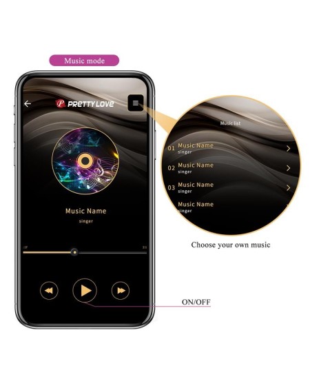 franz vibe with panty stimulator and app