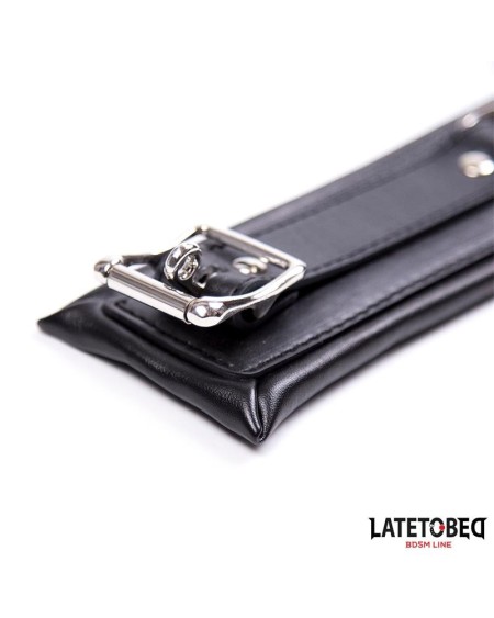 padded collar with leash