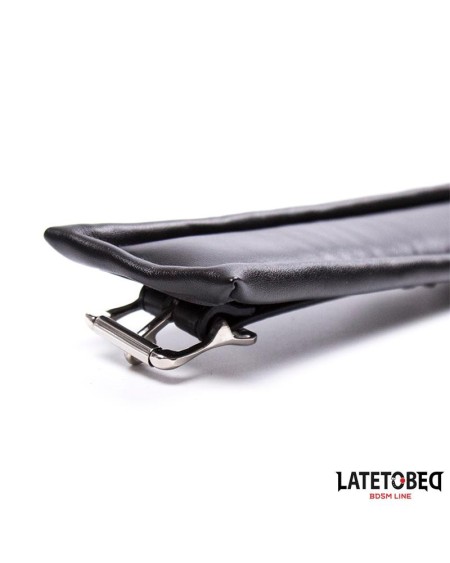 padded collar with leash