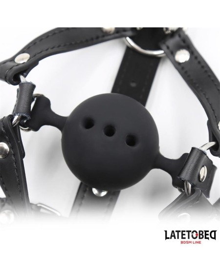 head harness with ball gag and nose hook