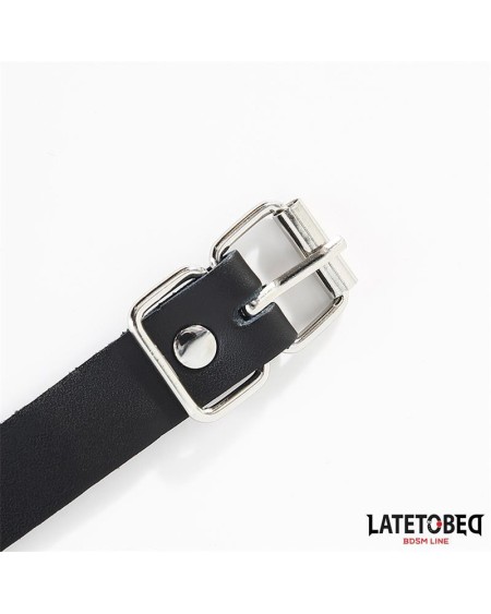 buckle fastener ring with leash