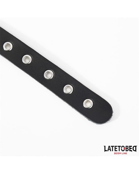 buckle fastener ring with leash