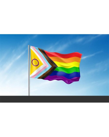 intersex flag 90x150