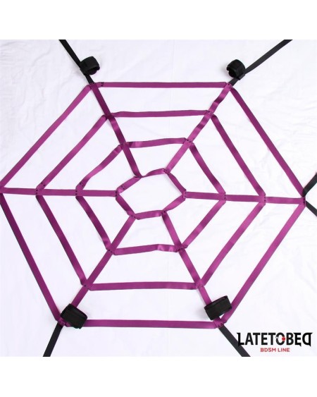 spider web bed bondage