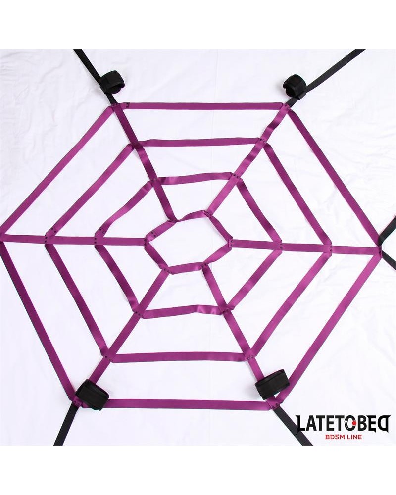 spider web bed bondage
