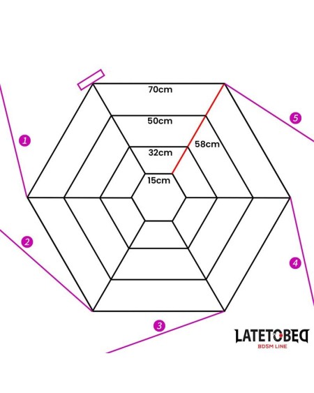 spider web bed bondage