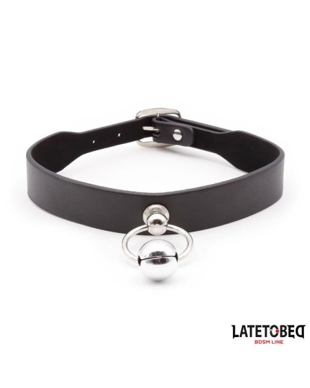 collar with bell and leash