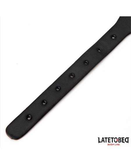 collar with bell and leash