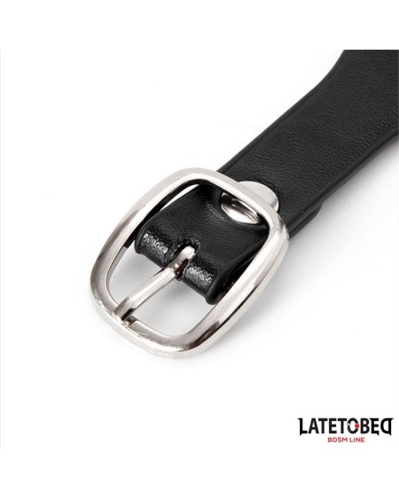 collar with bell and leash