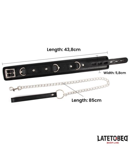 sponge collar with leash