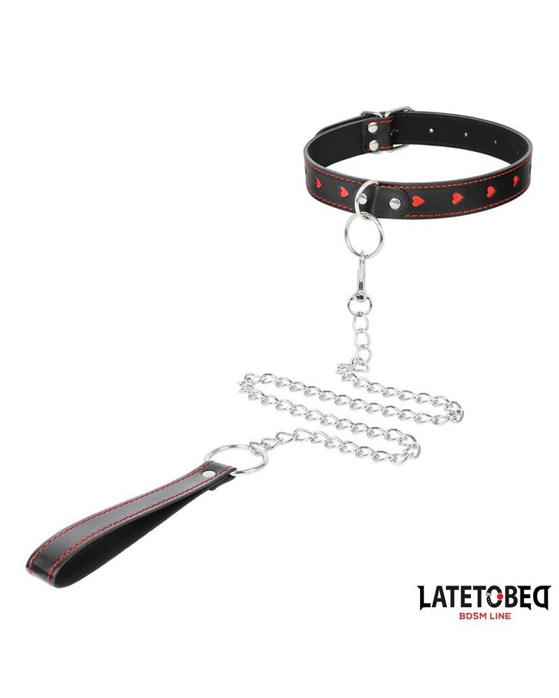 collar with leash 52 cm