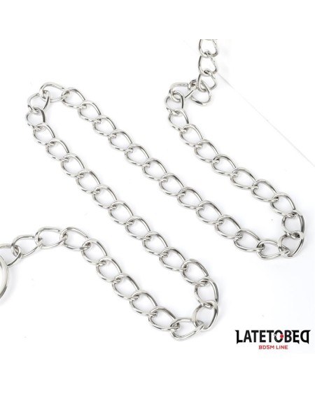 collar with leash 52 cm