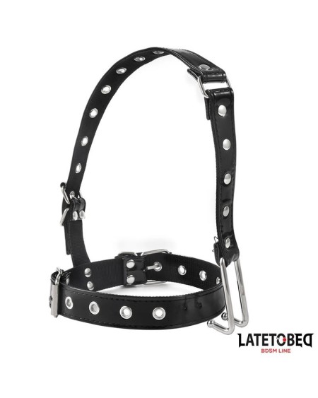 collar with nose hook