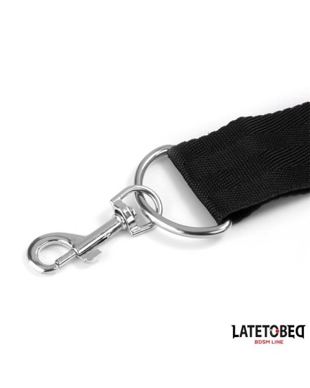 gag ball and cufs restrictions