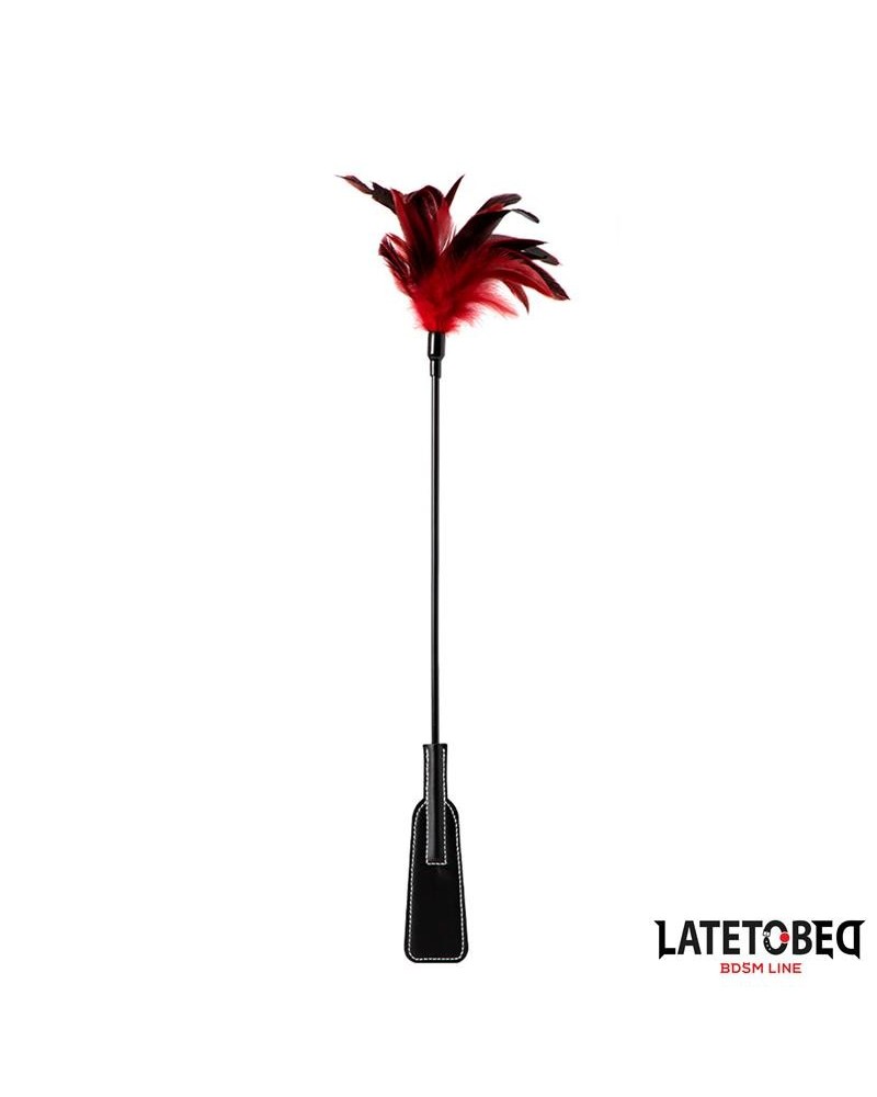 2-in-1 paddle with feather