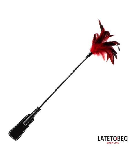 2-in-1 paddle with feather