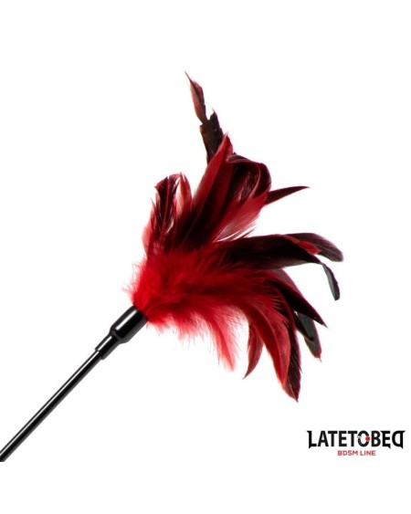 2-in-1 paddle with feather