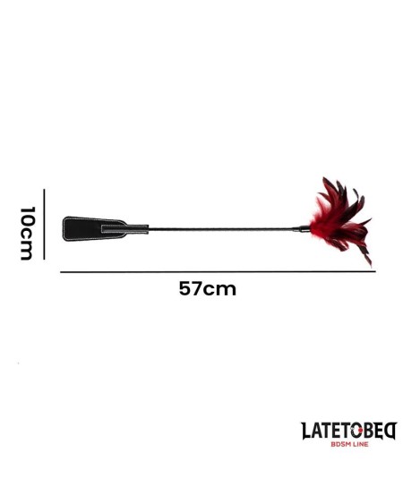 2-in-1 paddle with feather