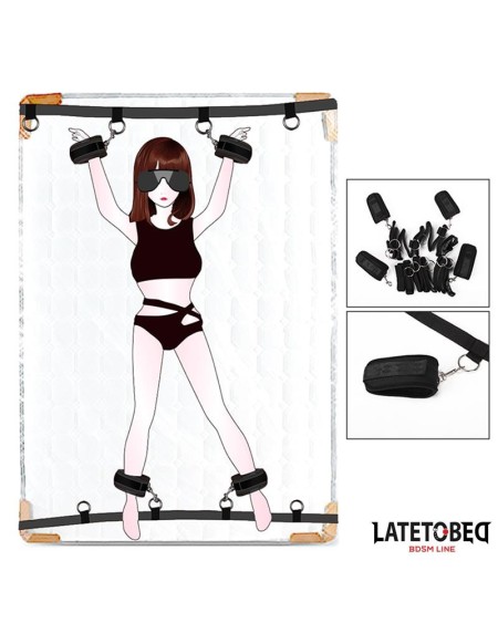 bed restraints 4 attachment points