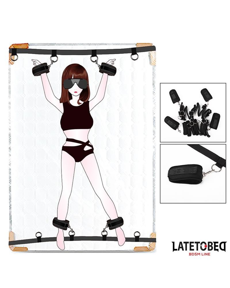 bed restraints 4 attachment points