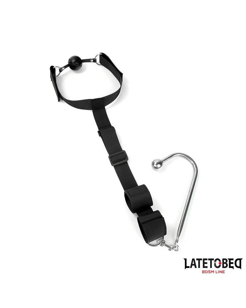 mouth gag with cuff and anal hook
