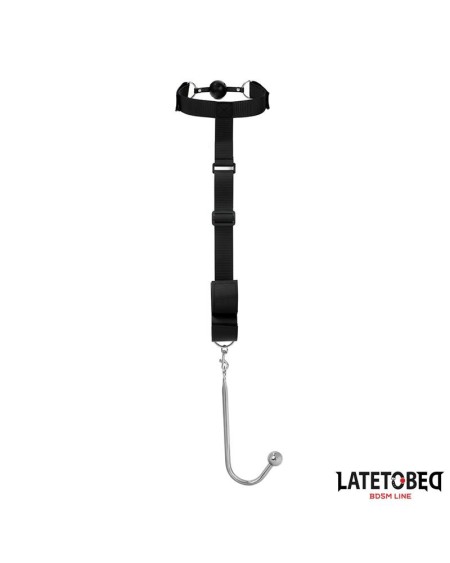 mouth gag with cuff and anal hook