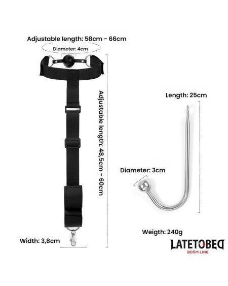 mouth gag with cuff and anal hook