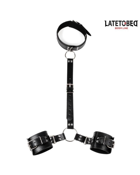 collar and wirst restraints