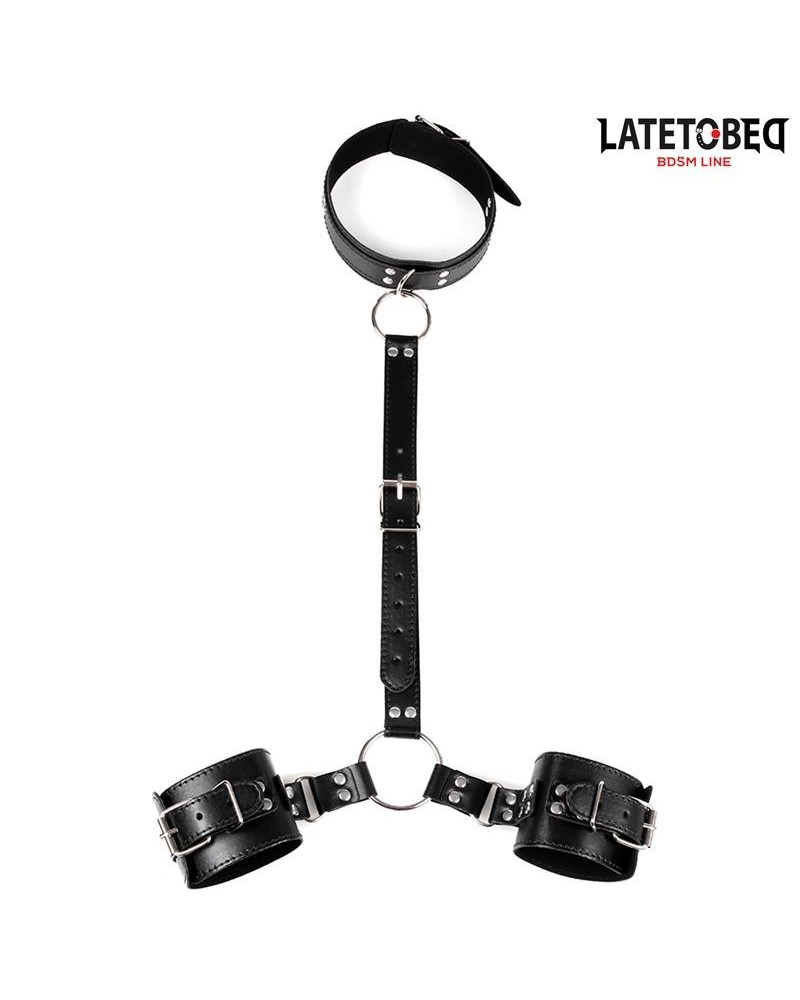 collar and wirst restraints