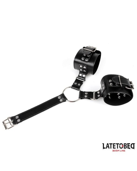 collar and wirst restraints