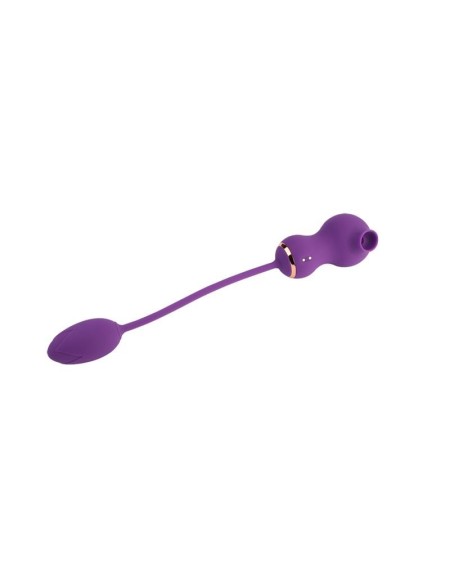 rusher clitoris sucker and vibrant egg