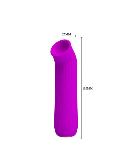 ford vibrator usb violet cl50