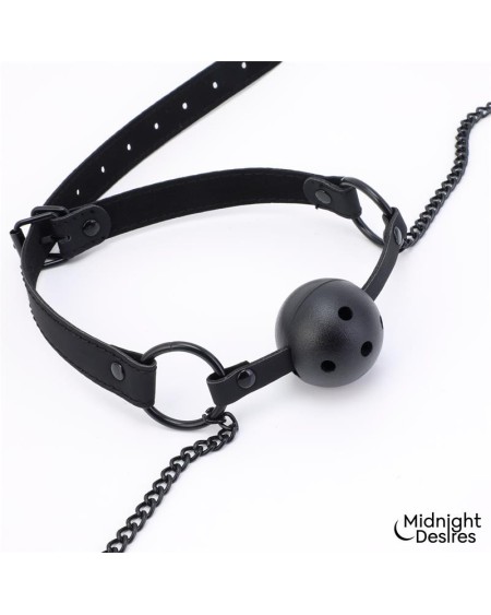 ball gag with nipple clamps