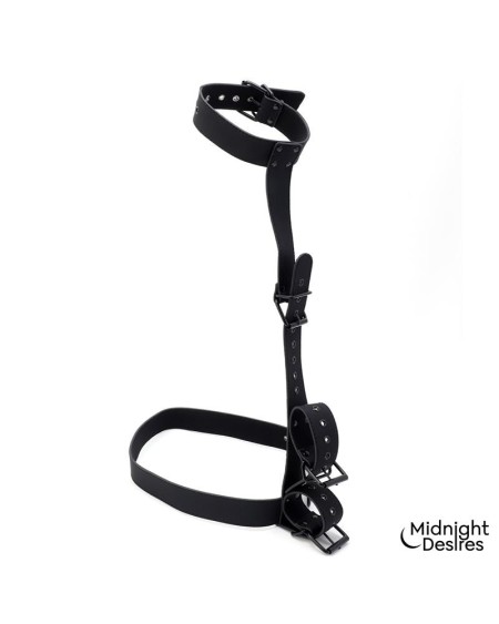 collar and wrist cuffs body restraint set