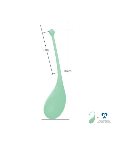 Vibrating Egg Palpitation Mint with APP