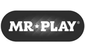 MR PLAY